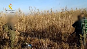 Cazadores-sorprendidos-cazando-patos-salvajes-en-los-terrenos-de-Donana.jpg