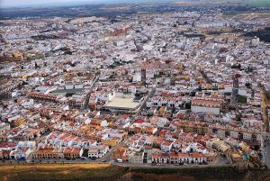 Descubren-mil-arboles-por-replantar-y-numerosos-alcorques-vacios-en.jpg