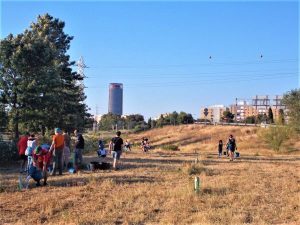 Reportan el hurto de dos árboles de tres metros plantados en 2023 en el parque Vega de Triana de Sevilla Reportan-el-hurto-de-dos-arboles-de-tres-metros-plantados.jpg